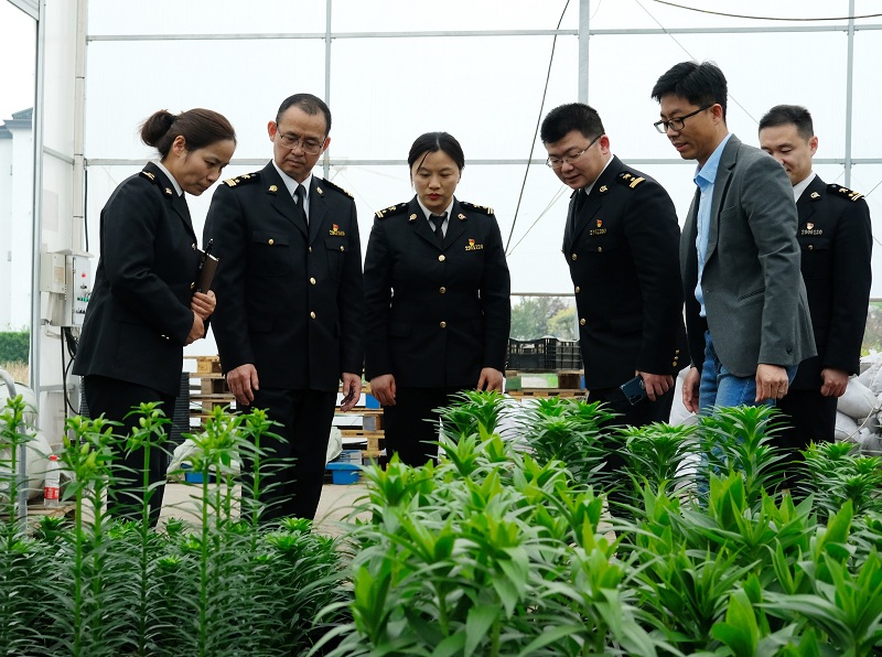 圖為:海關關員針對企業(yè)引進國外種苗隔離檢疫的難點問題赴現(xiàn)場調(diào)研幫扶1+20210420張建成攝 圖為:海關關員針對企業(yè)引進國外種苗隔離檢疫的難點問題赴現(xiàn)場調(diào)研幫扶1+20210420張建成攝